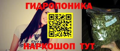 стаф Дубна