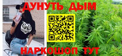 стаф Дубна