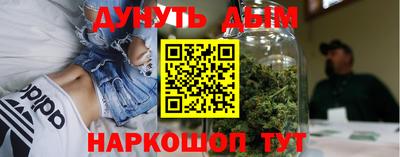 стаф Дубна