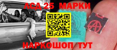 стаф Дубна