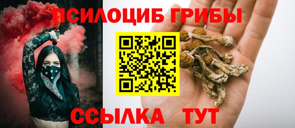 Новошахтинск  Галлюциногенные грибы GOLDEN TEACHER  Вход с VPN  Псилоцибиновые грибы Psilocybine cubensis 